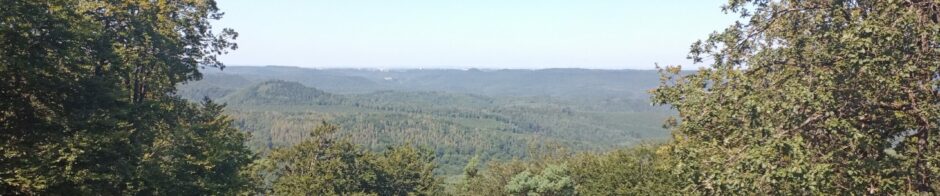 Südwestpfalz und weiter